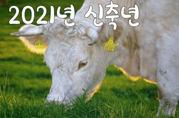 종합가로판매점１１３호패션TV앞 이미지