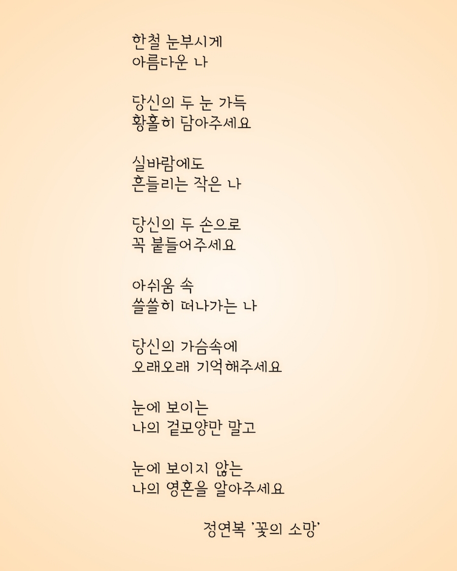 소망꽃 이미지