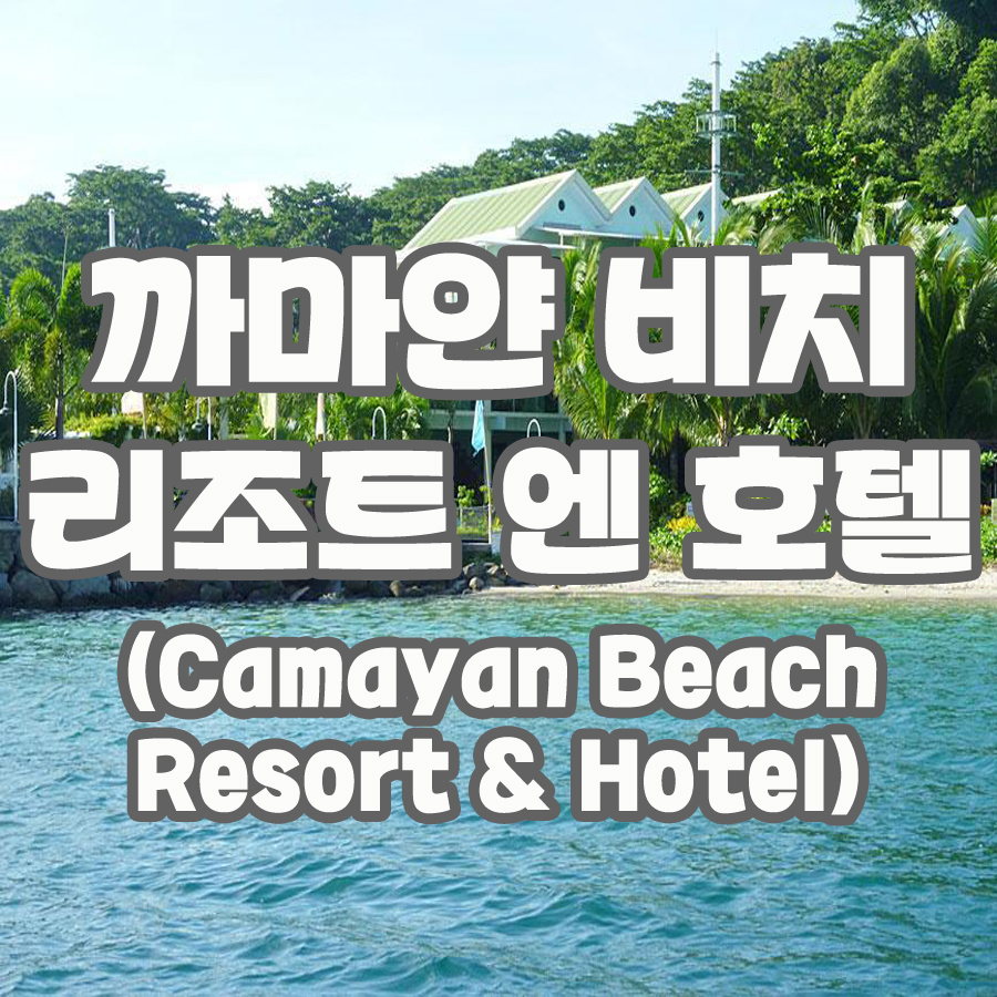 레베카여행사 이미지