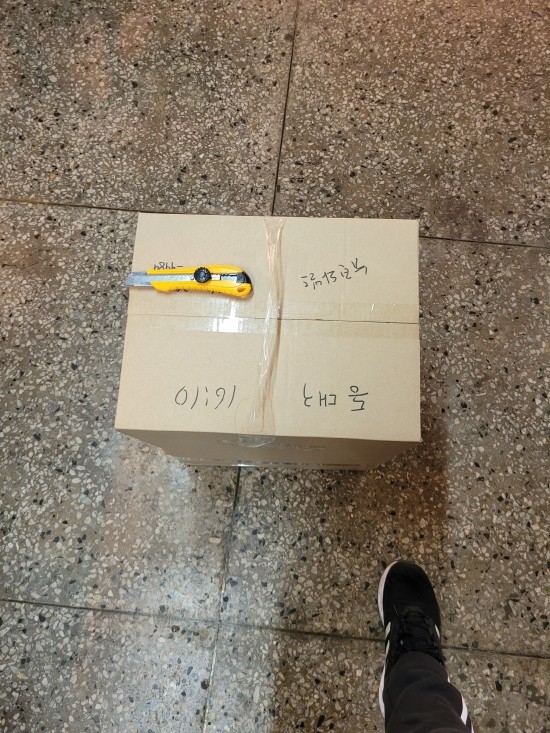 커먼와일드 이미지