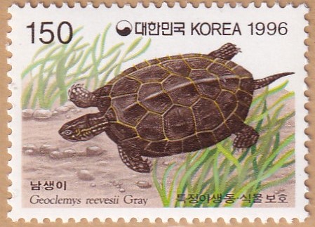 디자인라테라 이미지