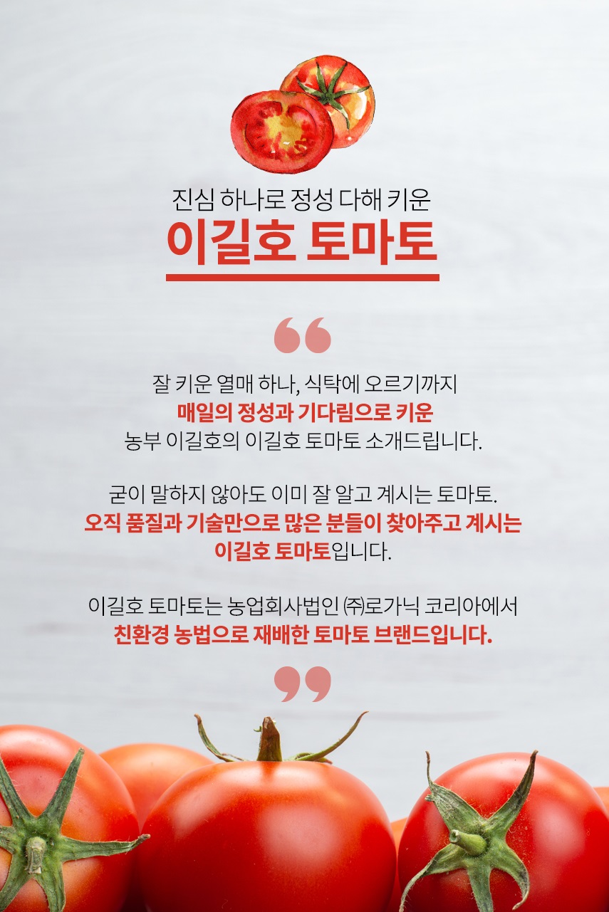 토마토마켓 이미지