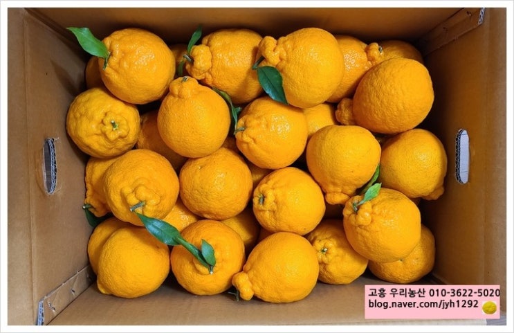 가온농산 이미지