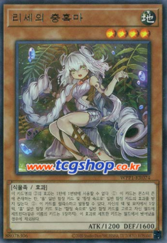 월드팩 이미지
