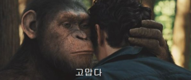 위키스터디 이미지