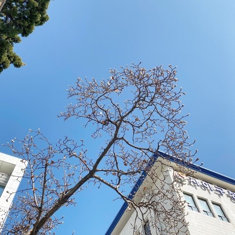 소가담한의원 이미지