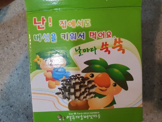 열두개울버섯마을 이미지
