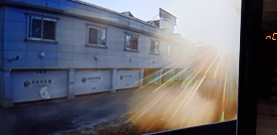 사파리모텔 이미지