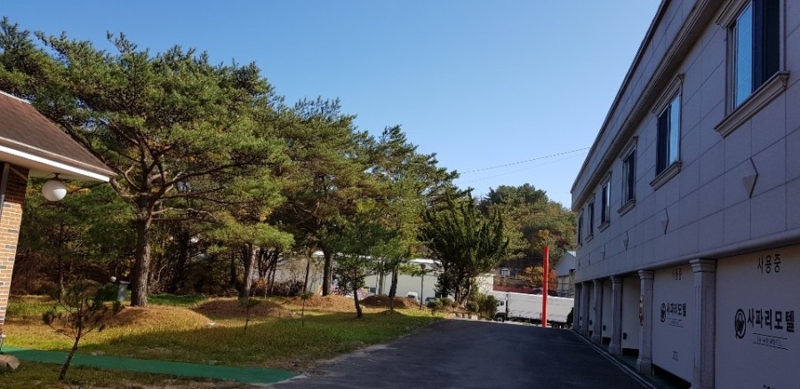 사파리모텔 이미지