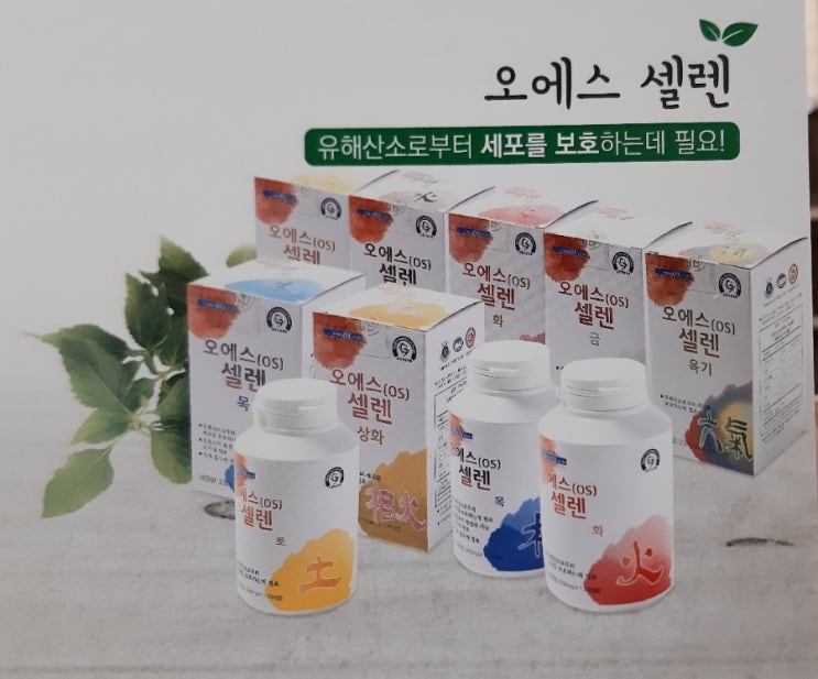 선재생활건강 이미지