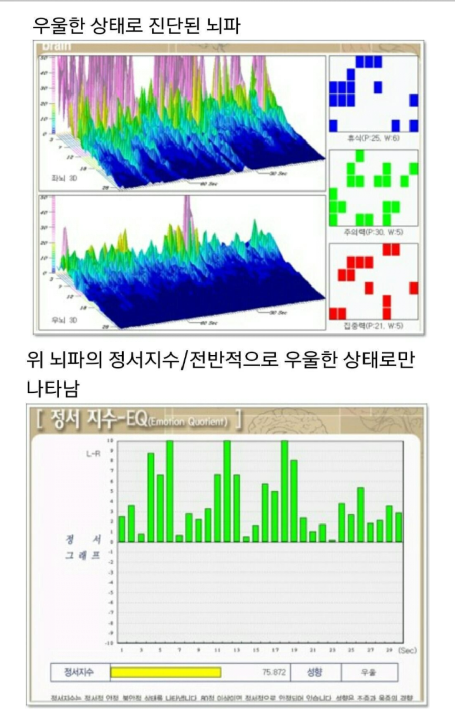 파낙토스양산뇌훈련센터 이미지