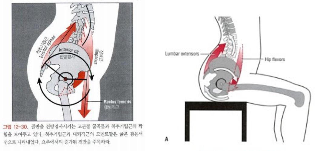 올리브한의원 이미지