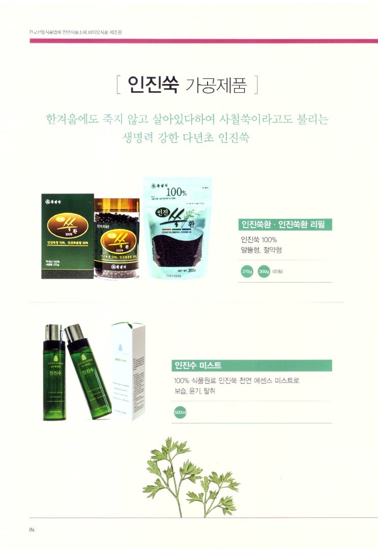 천년보감 이미지