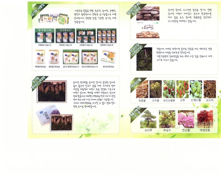 평창잣농원 이미지