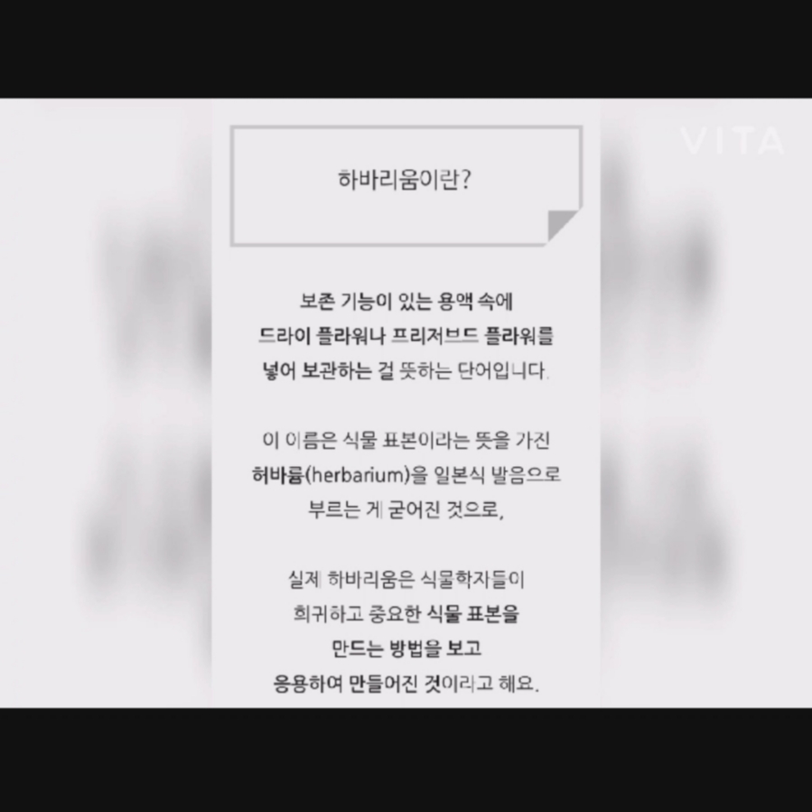 안나메이드 이미지