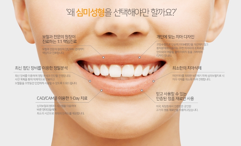치아글로벌 이미지
