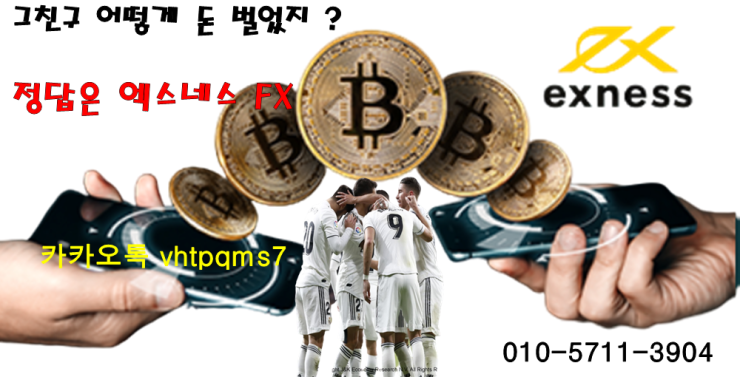 네스시스템 이미지