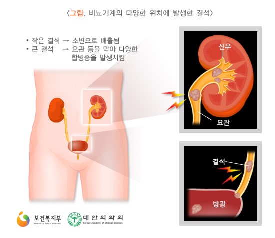 멘파워비뇨기과의원 이미지