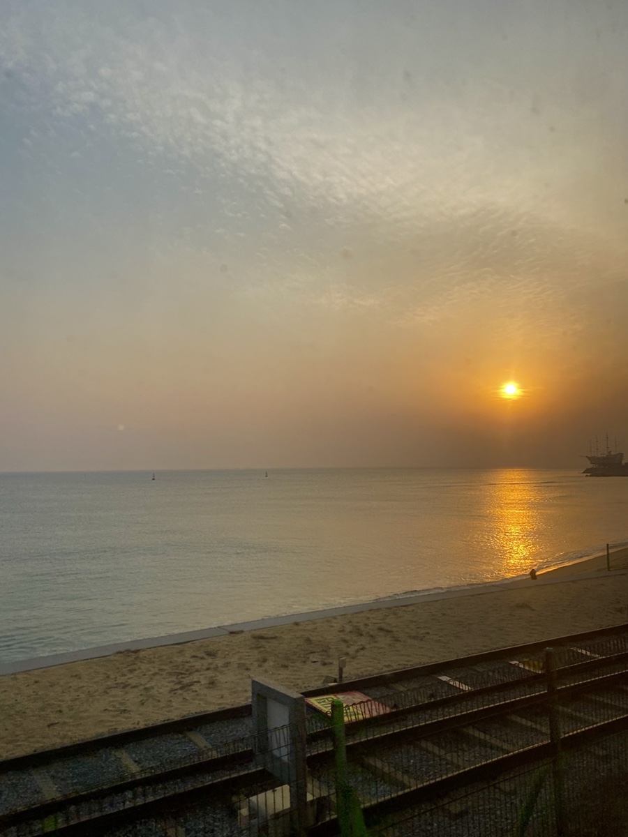 2월 마지막주 사진일기. 내나이 스물다섯 더이상 개강이 두렵지않다. : 네이버 블로그