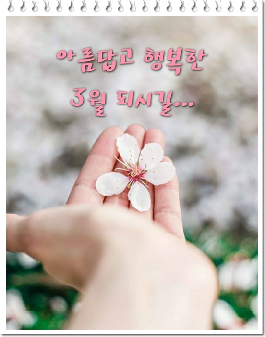 개나리문구 이미지