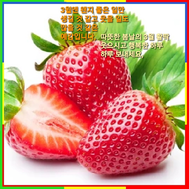3월-3월엔_웬지.jpg