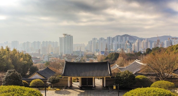 조선대패 이미지