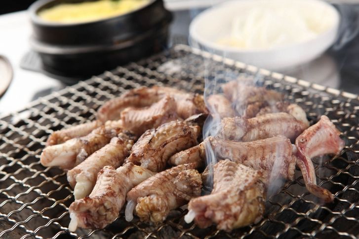 꼼지락장어 이미지
