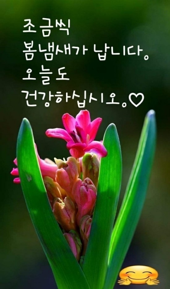 행복한아침 이미지