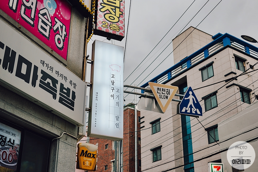 고달구이 이미지