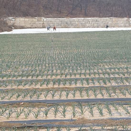 예천홍삼유황오리 이미지
