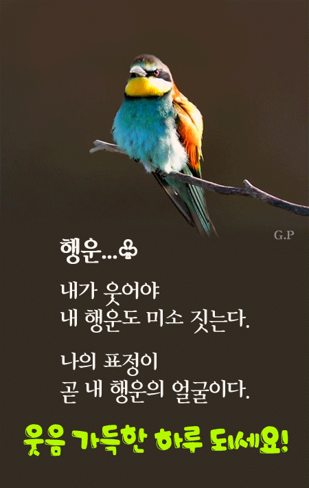 2-1.행운-1.gif