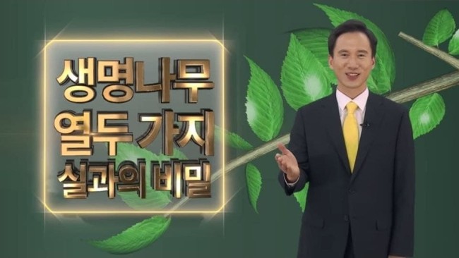 (주)생명나무 이미지