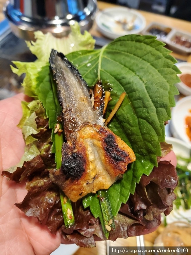 풍천백세민물장어 이미지