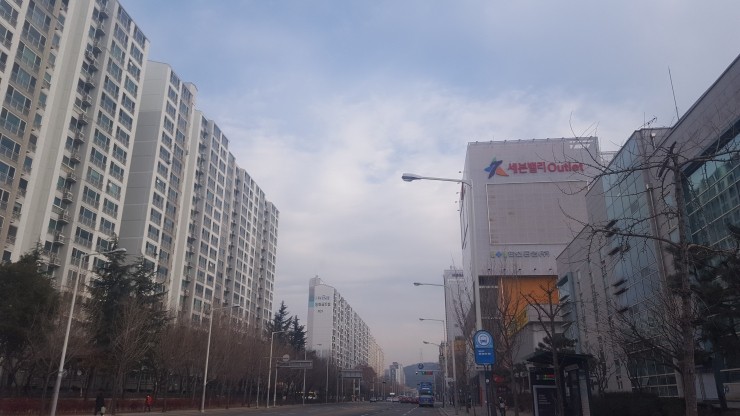 페리카나강화 이미지