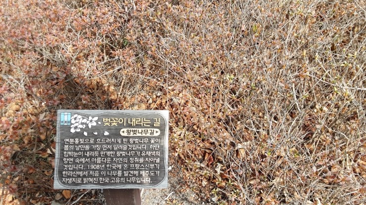 프로방스제과점 이미지
