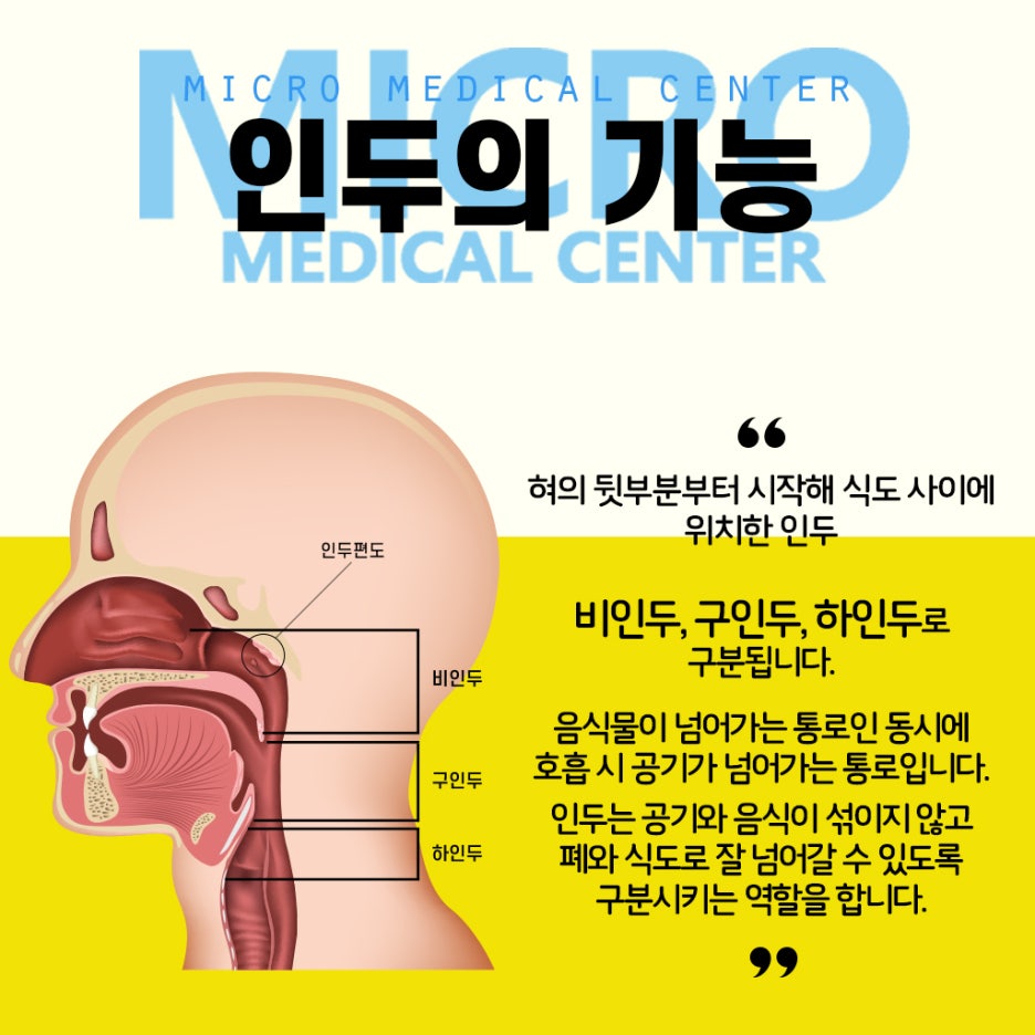 청주내과 목이 칼칼할때 의심해야 하는 급성인두염 : 네이버 블로그, image size:936x936