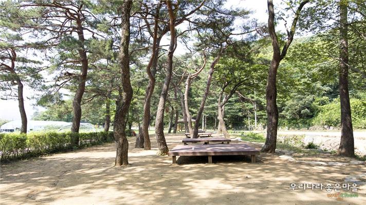 (주)고래실 이미지
