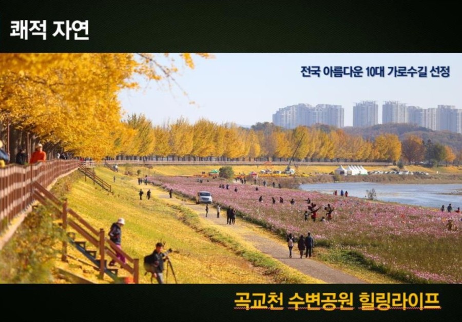 삼일마트 이미지