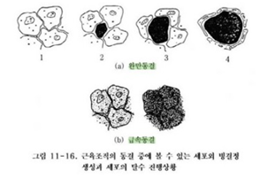 수정식품 이미지