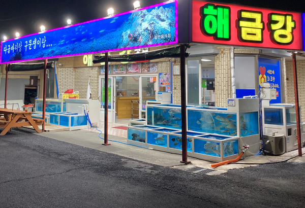해금강횟집 이미지