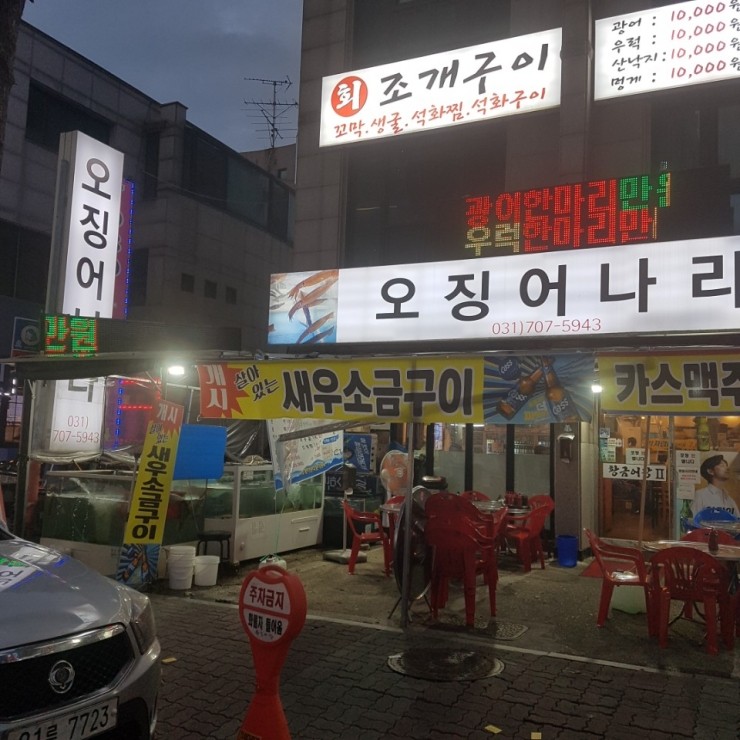 오징어나라 이미지