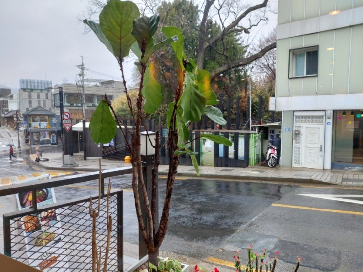 이디야커피 북촌마을점 이미지