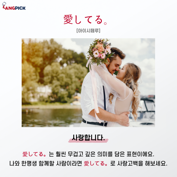 짜잔 이미지