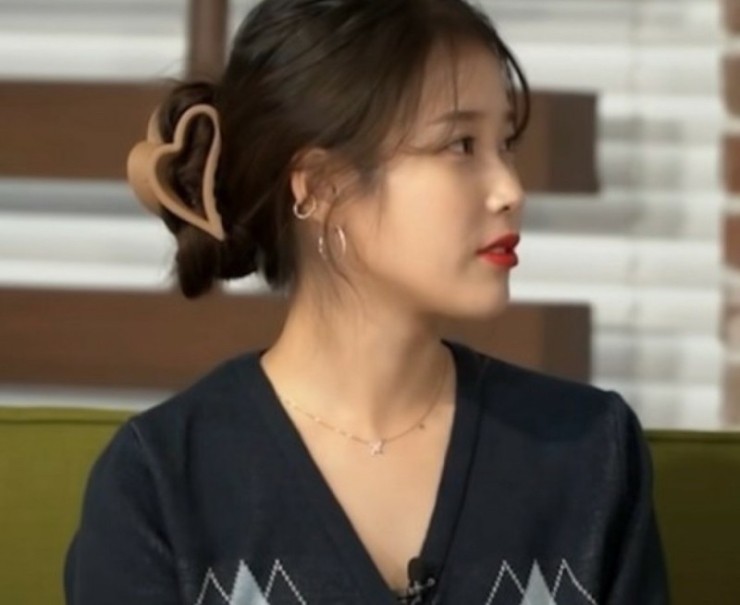 파슈 이미지