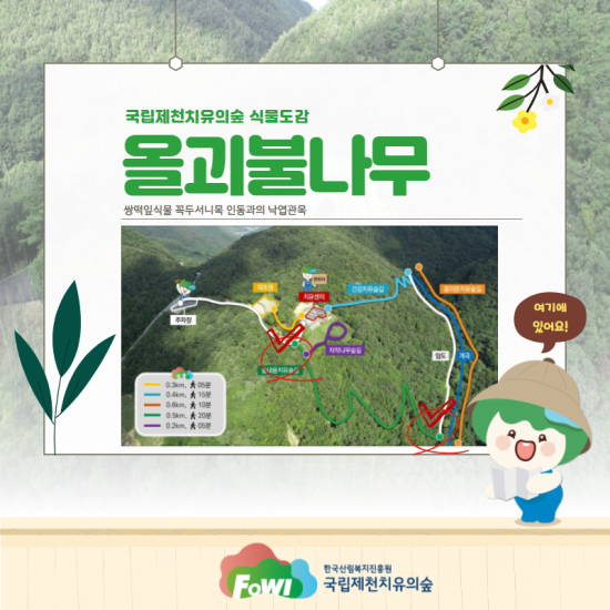 제천 치유의 숲 이미지