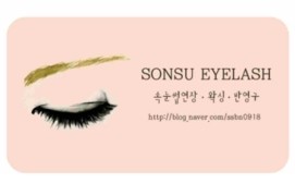 손수아이래쉬 이미지