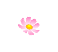 1.1-14.gif