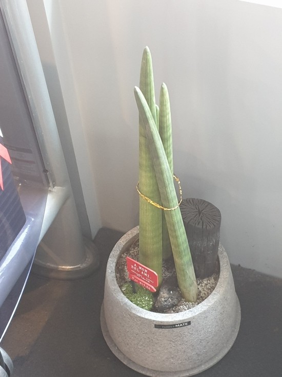 비욘세미용실 이미지