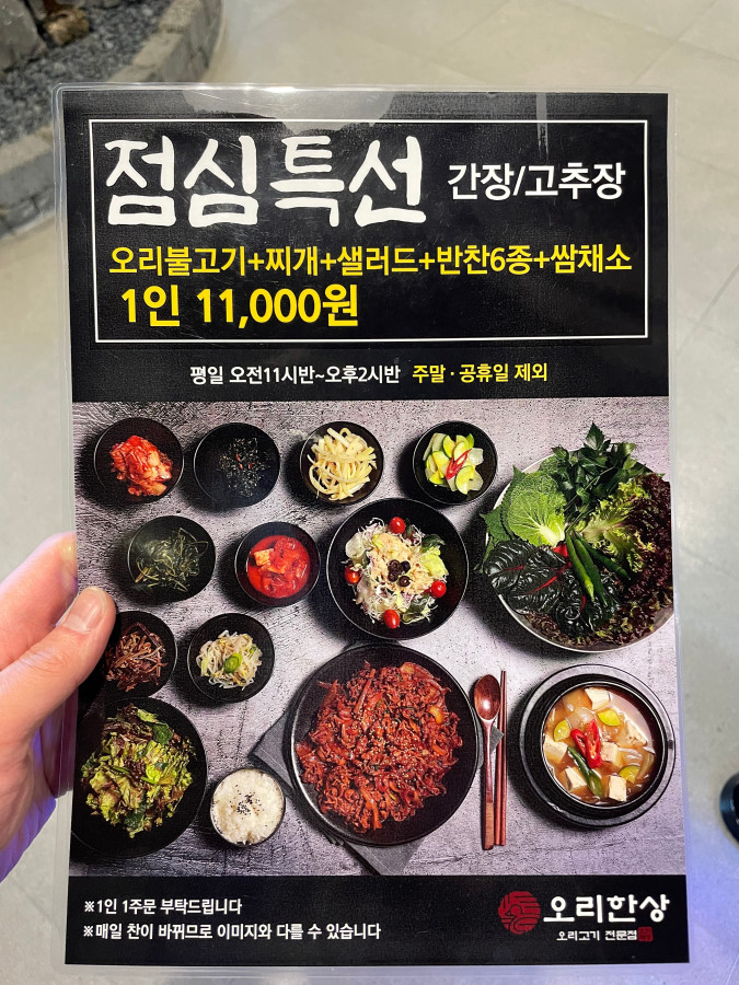 국제오리 이미지