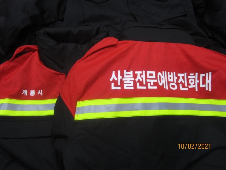 부여나염 이미지
